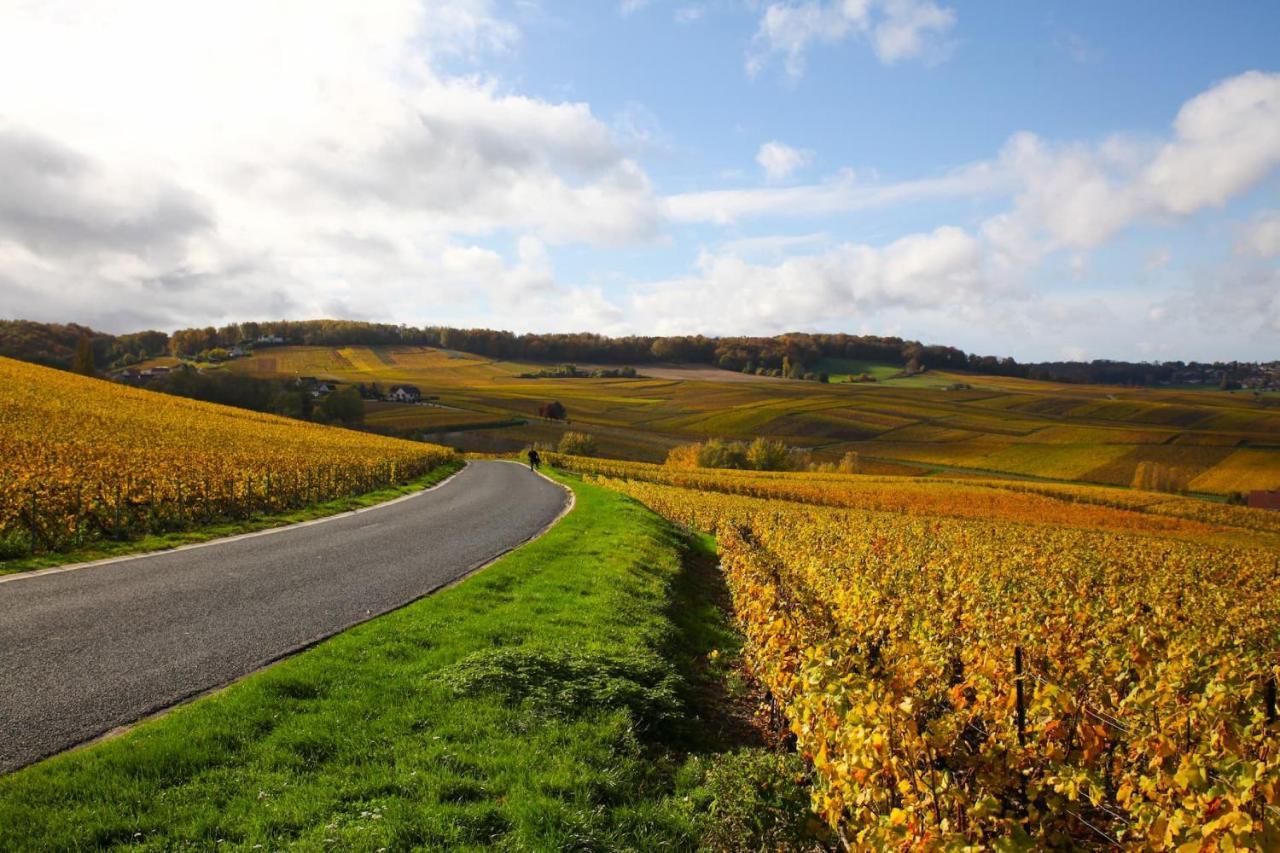 Hostellerie Briqueterie & Spa Champagne Vinay  Bagian luar foto Vineyards in the Moselle valley